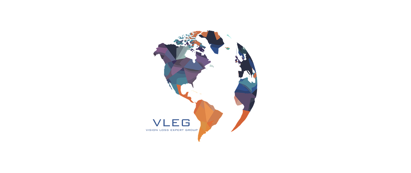 The Vision Loss Expert Group (VLEG)